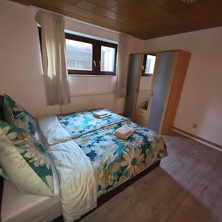 Prázdninový dům Maiferien Harz - Haus Waldblick 300 Qm - Bis 18 Personen - 8 Schlafzimmer
