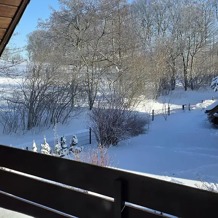 Prázdninový dům Maiferien Harz - Haus Waldblick 300 Qm - Bis 18 Personen - 8 Schlafzimmer